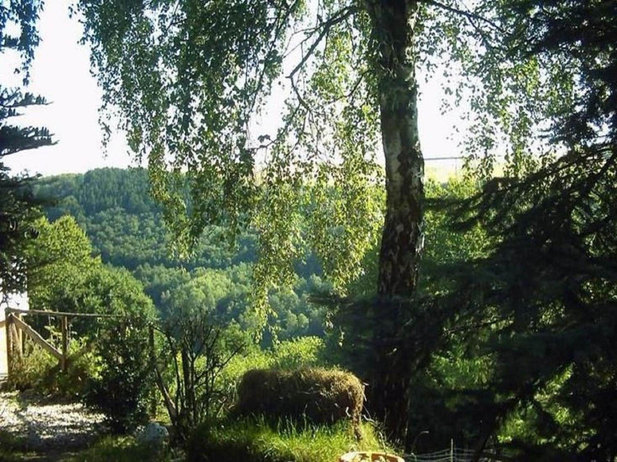 Charming Apartment In Morbach Germany With Terrace Thalfang Extérieur photo
